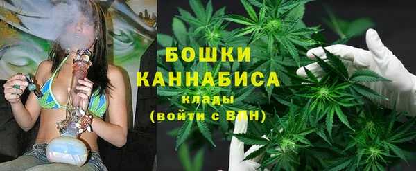 эйфоретик Новозыбков