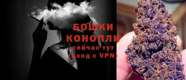 прущая мука Новодвинск
