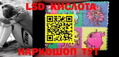 ГАЛЛЮЦИНОГЕННЫЕ ГРИБЫ Берёзовский