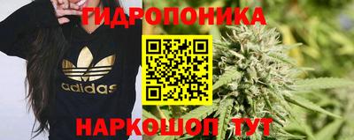ГАЛЛЮЦИНОГЕННЫЕ ГРИБЫ Берёзовский