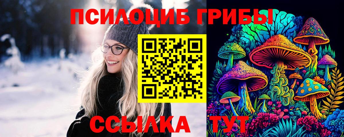 Галлюциногенные грибы Magic Shrooms Качканар
