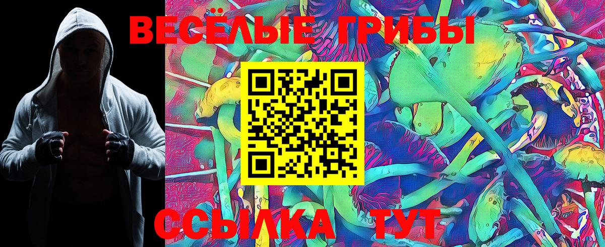 Псилоцибиновые грибы GOLDEN TEACHER Качканар